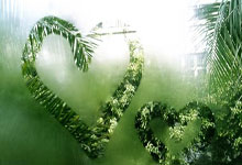 沃夫斯堡对阵拜仁，谁能在德甲赛场占得先机？